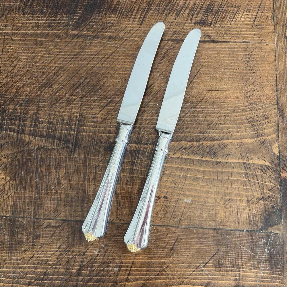 Oneida GOLDEN JUILLIARD (2) Dinner Knives Cube Stainless‎ Flatware Set Glossy